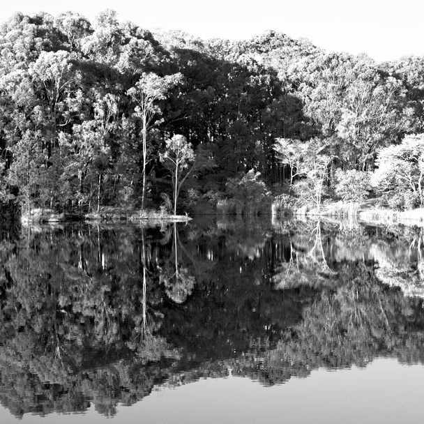   o lago de libra e a reflexão de árvore em água
 - Foto, Imagem