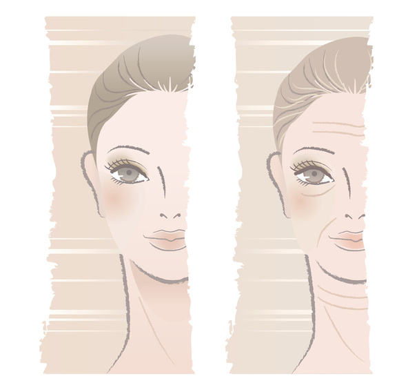Beautiful young and middle aged woman - Vector, Image