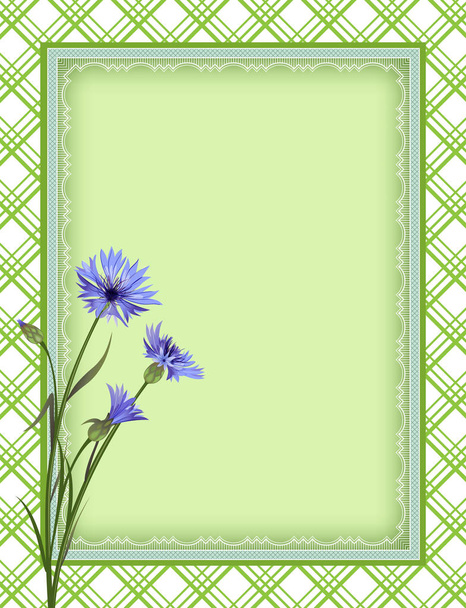 Ornate color rectangular frame, plaid seamless background, cornflowers. Template for card, advertisement, invitation. Swatch is included in vector file. Clipping mask applied. - Vector, afbeelding