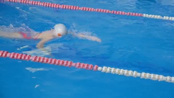 Αθλητή κολυμβητής ξεπεραστούν γρήγορα στην πίστα - Πλάνα, βίντεο