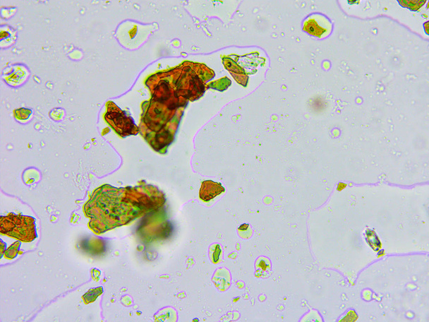 Mikroskopischer Blick auf einen Lidschatten - Foto, Bild