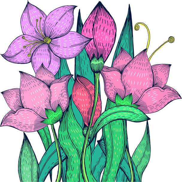 Flowering lily freehand drawing, closeup - Vetor, Imagem