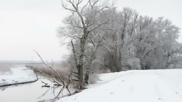 besneeuwde winterlandschap in Havelland (Brandenburg, Duitsland). Guelper lake. - Video