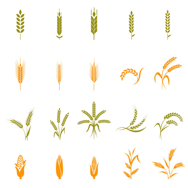 Buğday kulak veya pirinç Icons set. - Vektör, Görsel