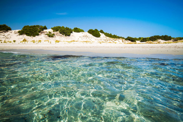 透明な海とサルデーニャ島の透き通った水. - 写真・画像
