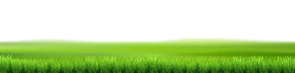 New green grass Lawn background - Vector, Image