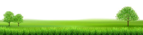 新しい緑の草の芝生の背景 - ベクター画像