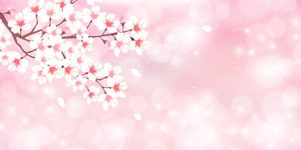 Cherry spring flower background - Vector, Imagen