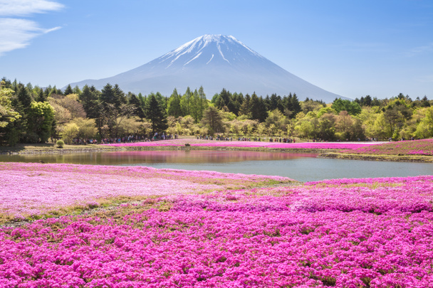 Fuji-Gebirgslandschaft - Foto, Bild