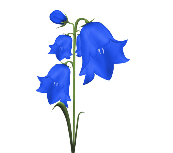 Bell flower - Photo, Image