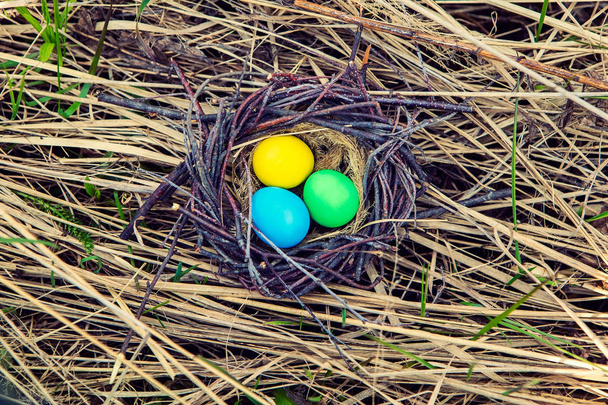 Uova dipinte decorative nel nido. Uova di Pasqua. Primavera decorazione del giardino
. - Foto, immagini