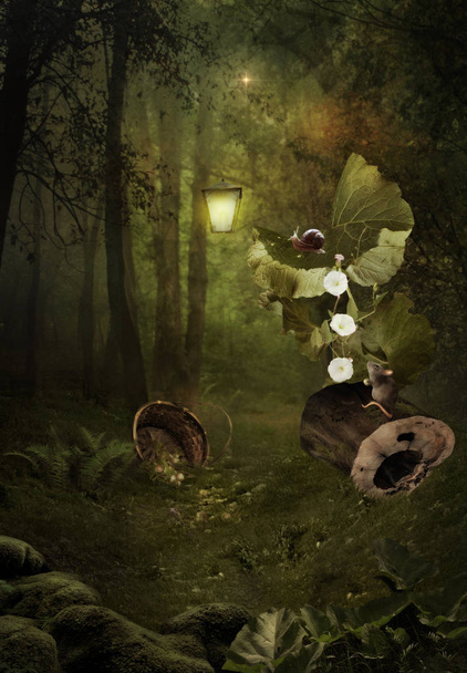 Forest Fairy Tale - Foto, afbeelding