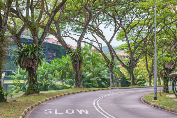 warning signs to slow down on a curving road - Fotó, kép
