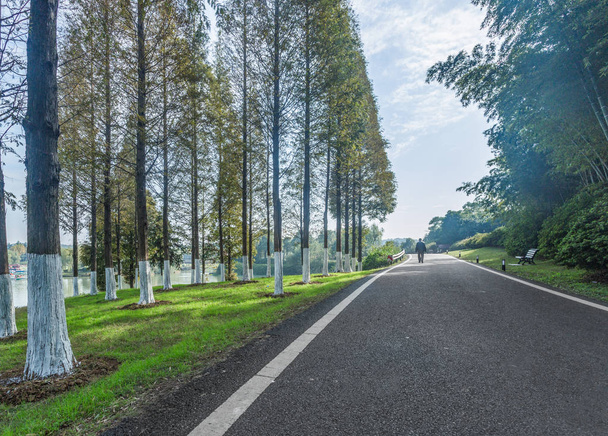 empty highway amidst green trees - Valokuva, kuva