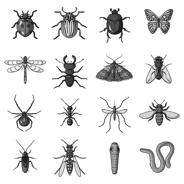 Insects set icons in monochrome style. Big collection of insects vector symbol stock illustration - Vecteur, image
