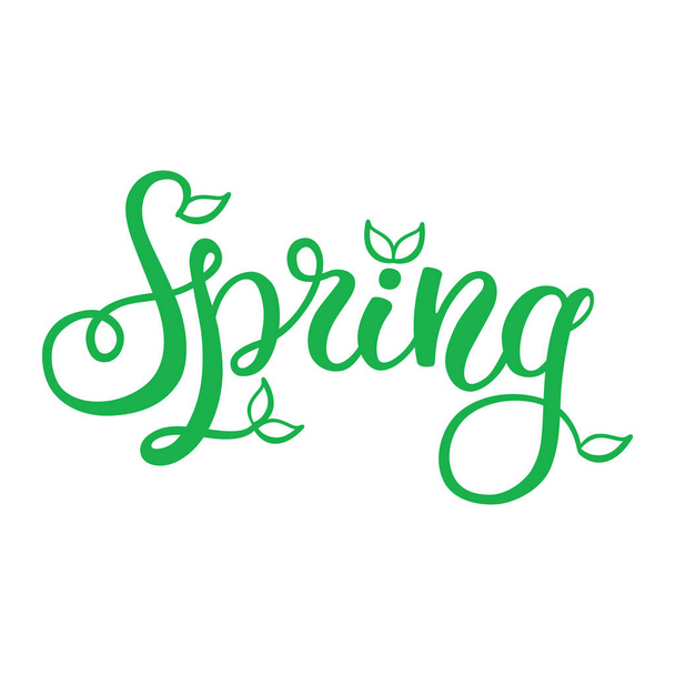 Hand lettering spring on white background - Vector, Image
