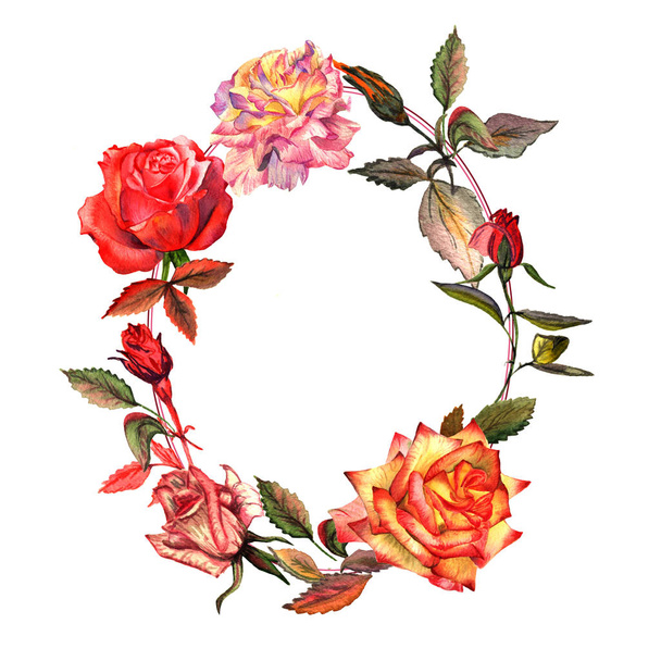 Wildflower rose flower wreath in a watercolor style isolated. - Photo, image