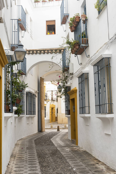 Córdoba (Andalucía, España): calle
 - Foto, Imagen