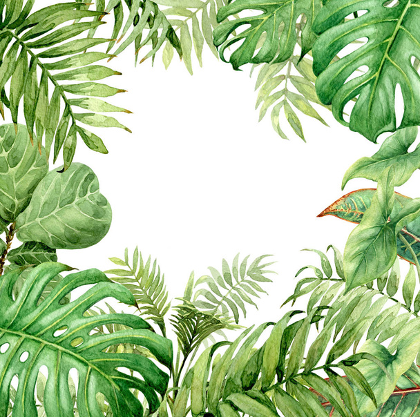 Watercolor green background with tropical plants - Φωτογραφία, εικόνα