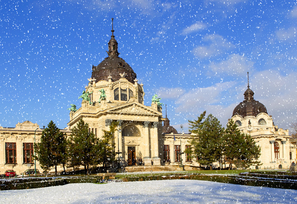 O Spa Szechenyi no inverno, Budapeste
 - Foto, Imagem