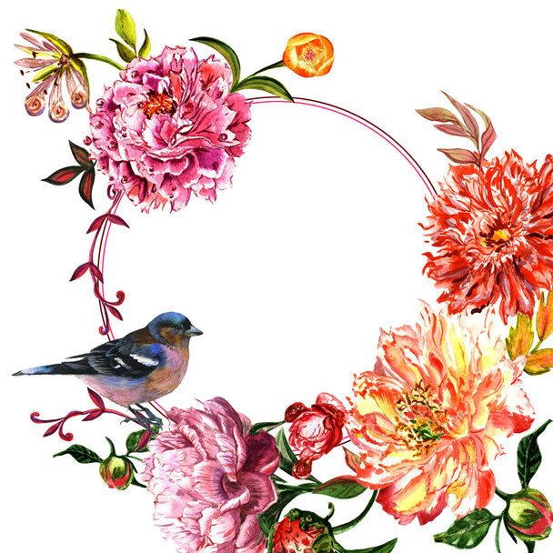 Wildflower peony bloem frame in een aquarel stijl geïsoleerd. - Foto, afbeelding
