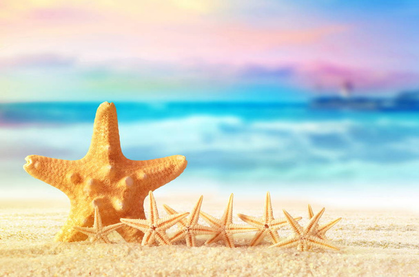 Étoile de mer sur la plage de sable - Photo, image