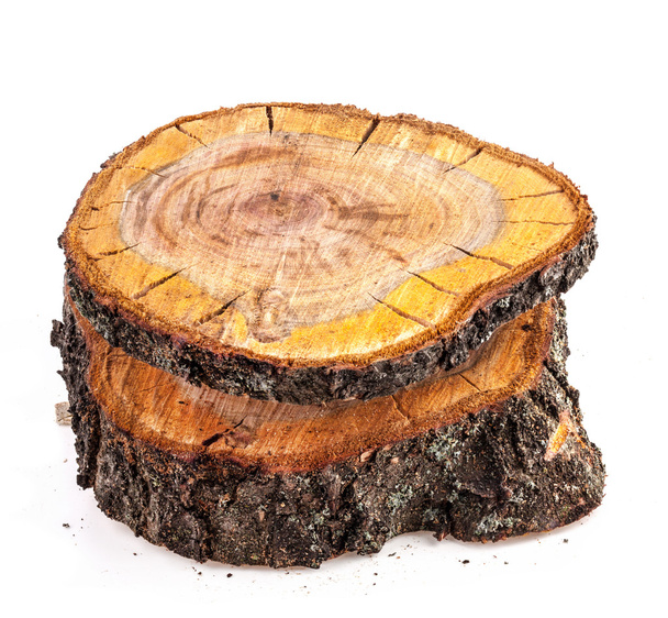 Corte áspero de árbol frutal
 - Foto, imagen