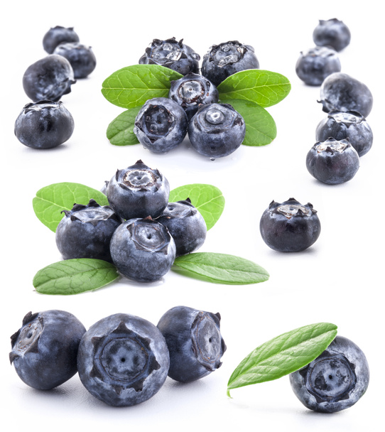 Collection of Blueberries - Photo, Image