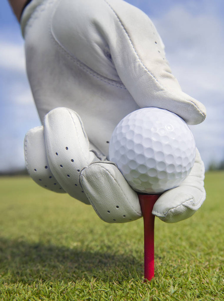 Hand platziert Golfball - Foto, Bild