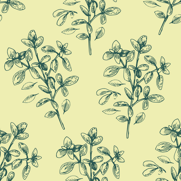 Seamless vector pattern with oregano illustration. - Vector, Image