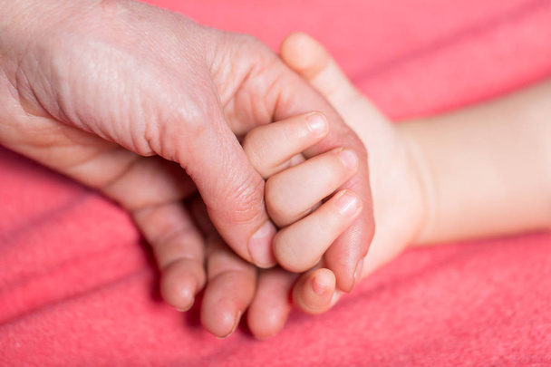 Holding child hand - Foto, Imagen