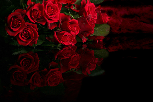 Červená růže - Fotografie, Obrázek