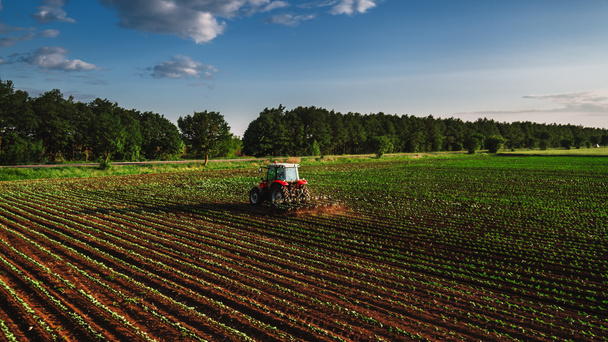 Campo de cultivo del tractor en primavera  - Foto, Imagen