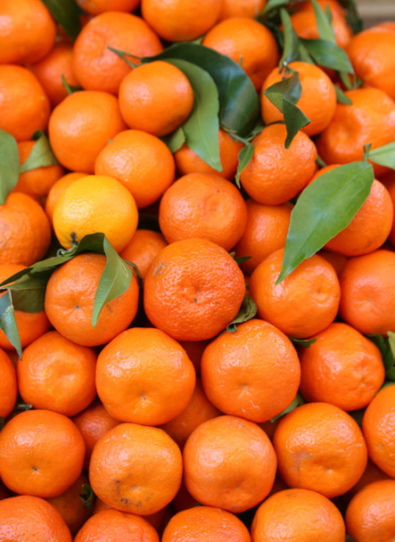 Biologische mandarijnen en clementines van de oranje met schil onbehandelde wit - Foto, afbeelding
