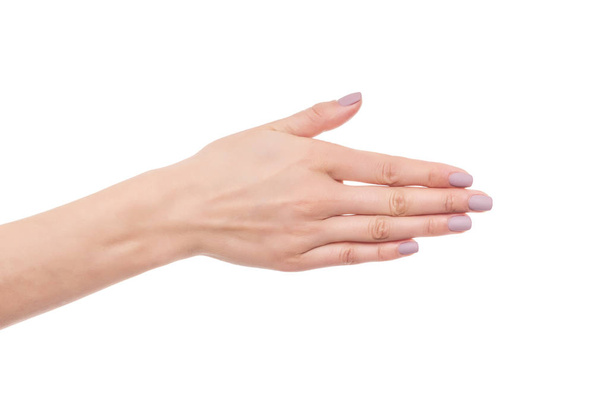 Female hand greeting. - Photo, image