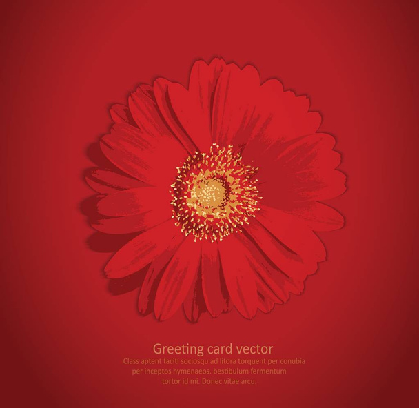 fleur fleur rouge fond carte de vœux vecteur
 - Vecteur, image