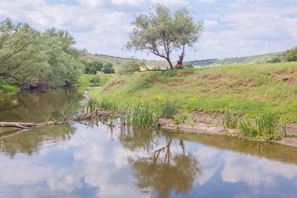 idyllic river view - Zdjęcie, obraz