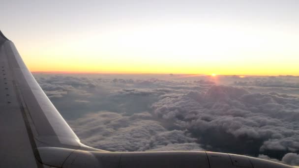 utazás repülővel - Felvétel, videó