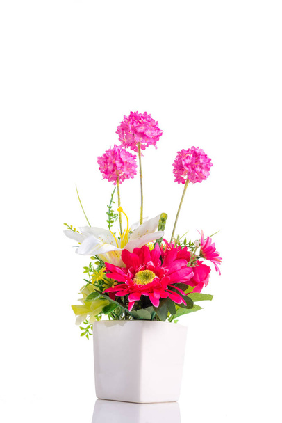 fiore in vaso di fiori sopra bianco
 - Foto, immagini
