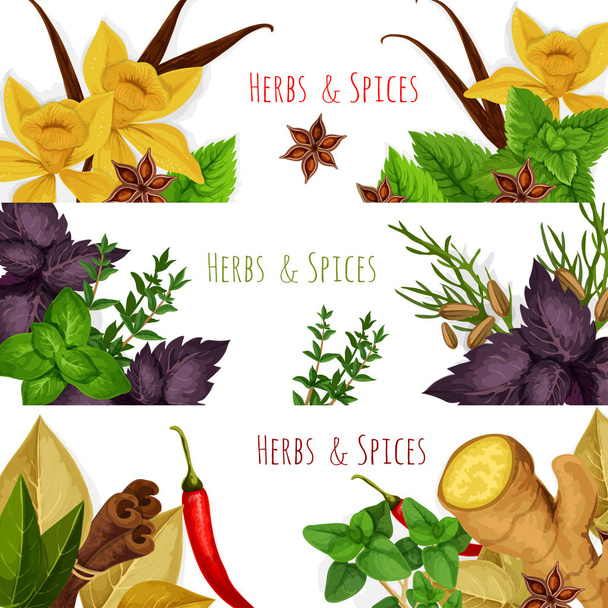 Spices and herbs vector banners set - Vector, Image