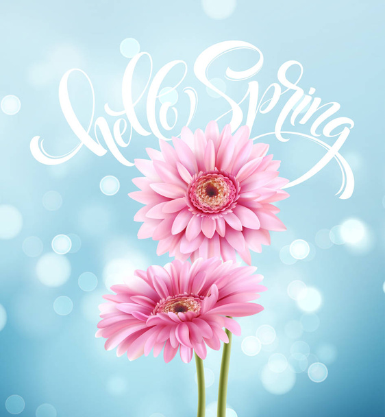 Gerbera Blumen Hintergrund und hallo Frühling Schriftzug. Vektorillustration - Vektor, Bild