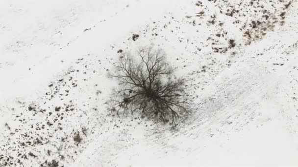  Aérea 4K. Volar verticalmente con rotación sobre el campo en la nieve y el árbol. Vista superior
  - Metraje, vídeo