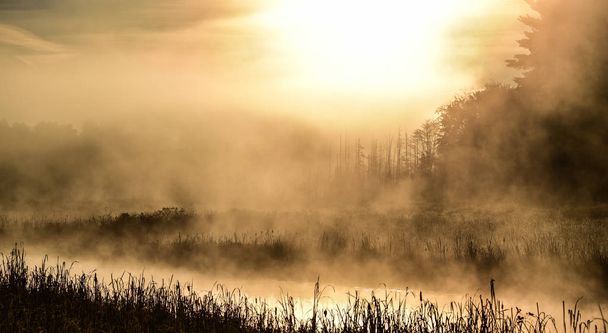Brilliant sunrise on a marsh.  foggy mist summer morning on the narrow end of a small lake. - Photo, Image
