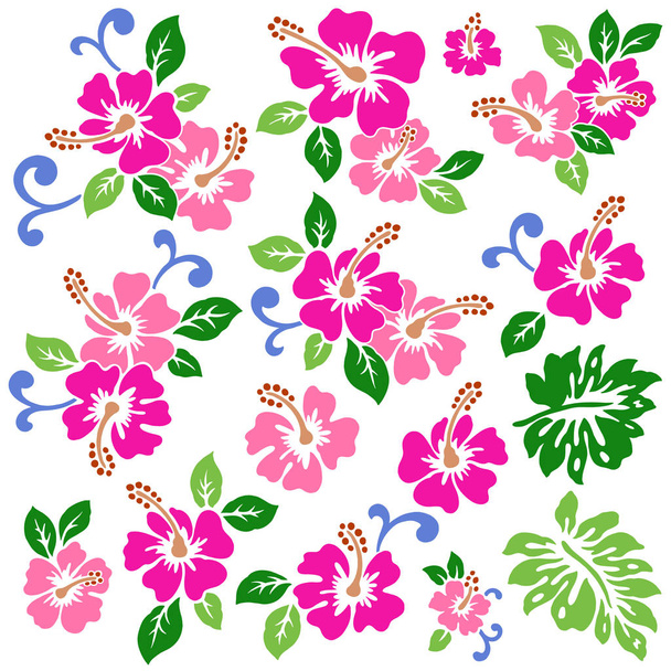 Patrón de flor de hibisco
 - Vector, imagen