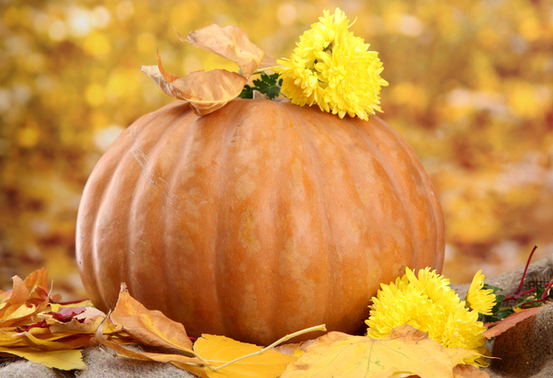 pumpkin and autumn leaves, on yellow background - Foto, afbeelding