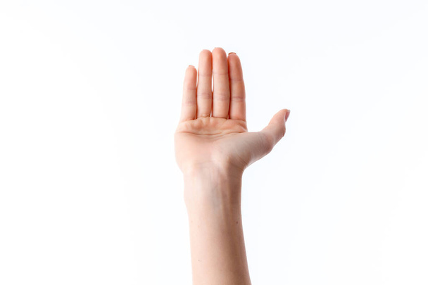 female hand with raised up fingers and deployed forward palm - Foto, Bild