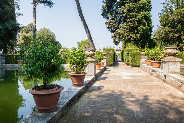 Çeşitli bitki ve bahçeli Villa d'Este Tivoli Roma, Lazio bölgesi, İtalya yakınındaki gölde. - Fotoğraf, Görsel