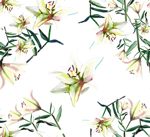 Gentle refined seamless pattern of white beige powdery lilies watercolor hand sketch - Foto, Imagem