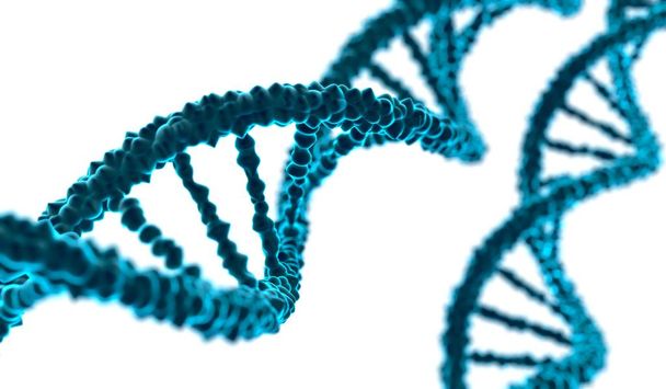 3D rendered illustration of DNA molecule on white background. - Photo, Image