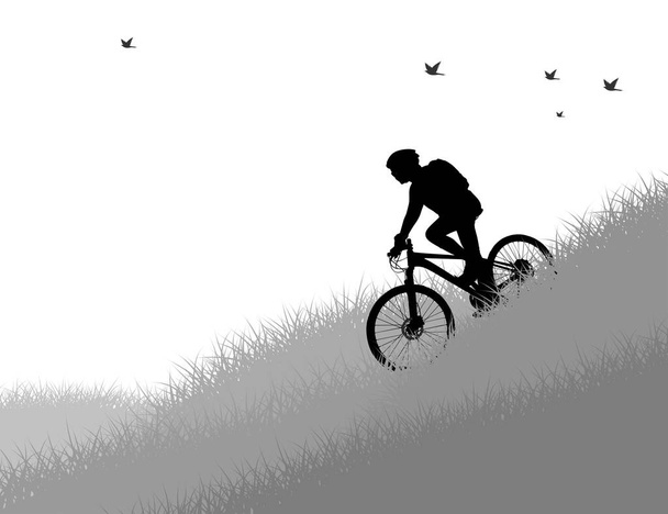 Silueta mujer joven montar en bicicleta de montaña
  - Vector, imagen